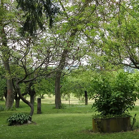 Ciurli Frühstückspension Visone