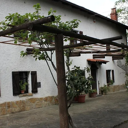 Ciurli Visone